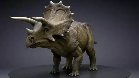 AI Video from prompt: A realistic triceratops rotating 360 degrees