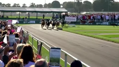 AI Video from prompt: Horse racing in Miami