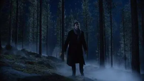 AI Video from prompt: A man in black wanders in a dark forest, a bird 