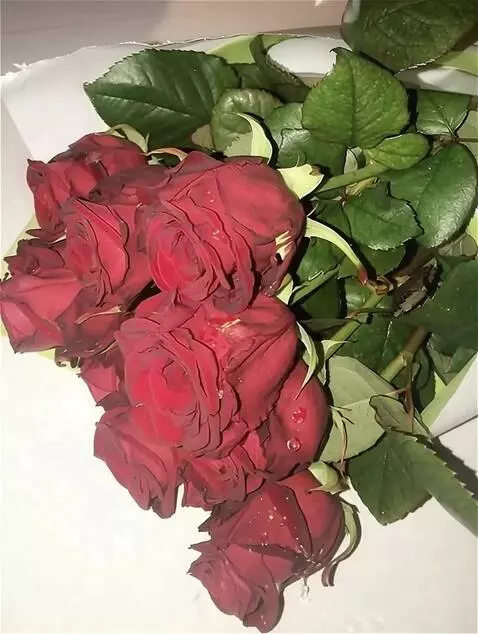 Wan 2.5 Preview video