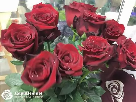 Wan 2.5 Preview video