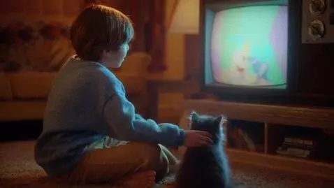 AI Video from prompt: A cute fluffy grey kitten and young boy sitting 