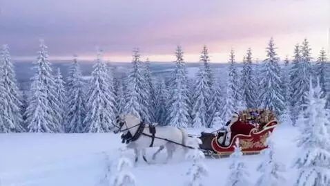 AI Video from prompt: Wide shot. The camera pans over a snow-covered s