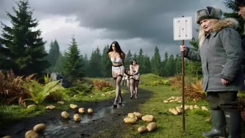 AI Video from prompt: Belarus. Autumn. Rain. A pine forest. Overcast. 