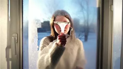AI Video from prompt: Scraping ice on window
