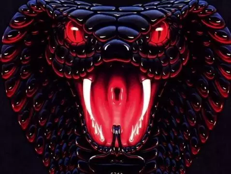 AI Video from prompt: snake bite showing teeth