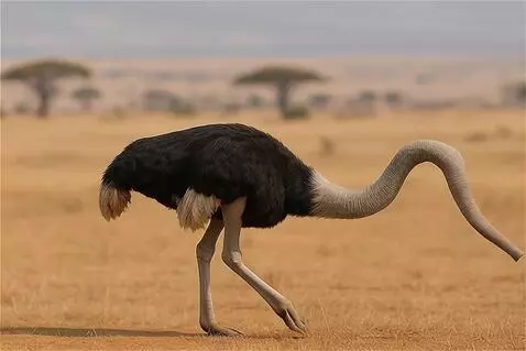 AI Video from prompt: a strange animal is walking and looking around. 