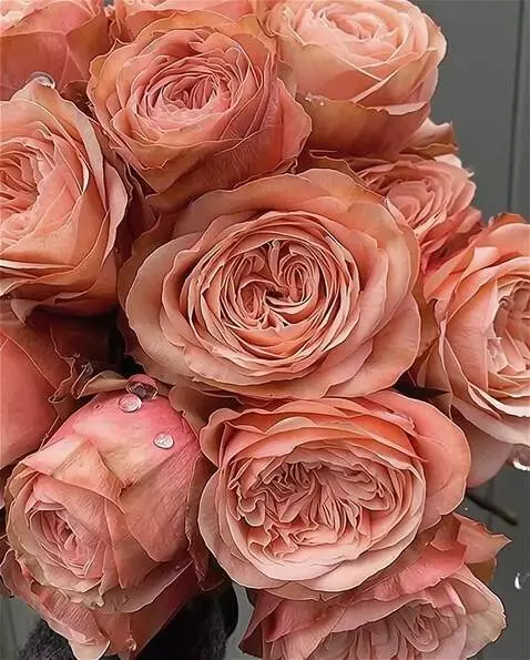 Wan 2.5 Preview video