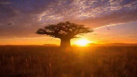 AI Video from prompt: 10-second cinematic wide establishing shot of th