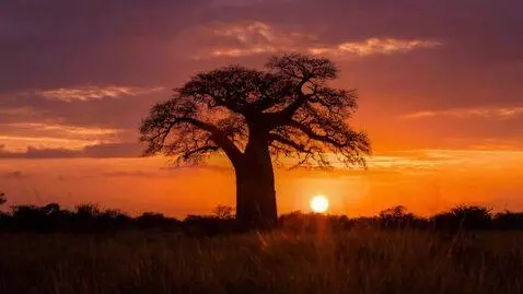 AI Video from prompt: 10-second cinematic static wide establishing sho