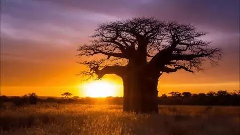 AI Video from prompt: 10-second cinematic static wide establishing sho