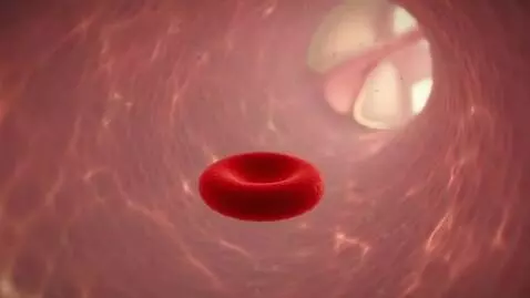 AI Video from prompt: Subject: Scientific 3D visualization of a red bl