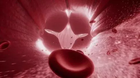 AI Video from prompt: Subject: Scientific 3D visualization, wide shot 