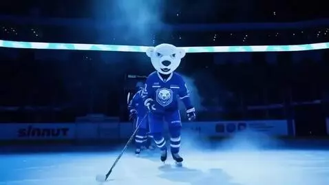 AI Video from prompt: Short dynamic video presentation of the hockey t