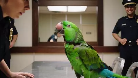 AI Video from prompt: Ultra-realistic cinematic police interrogation r