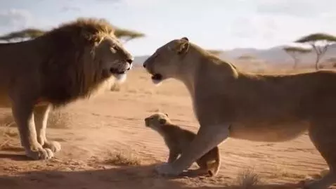 AI Video from prompt: A mother lion fights with a male lion over her c