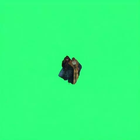 AI Video from prompt: two people slowly walking talking and having fun