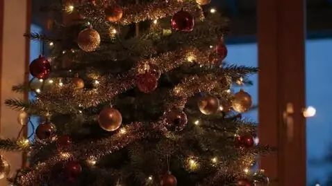 AI Video from prompt: The Christmas tree lights are flashing and the g