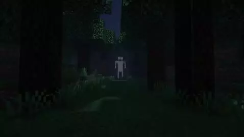 AI Video from prompt: “Minecraft-style dark forest at night, sudden ap