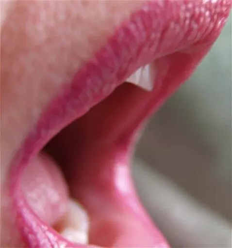 Wan 2.5 Preview video