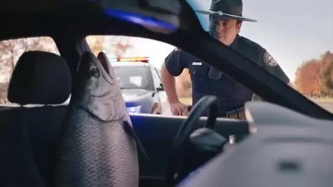 AI Video from prompt: American cop stoped car with fish on the driver 