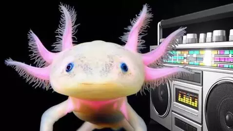 AI Video from prompt: It starts to glow in all the colors of the rainb