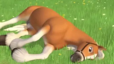 AI Video from prompt: female talking horse playing dead by pretending 