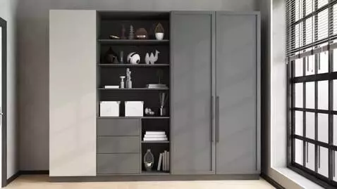 AI Video from prompt: A floor-to-ceiling minimalist wardrobe in a hall