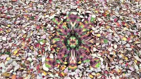 AI Video from prompt: Using the colors of the leaves in the image crea