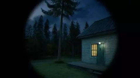 AI Video from prompt: A VHS camera is filming a video at night through