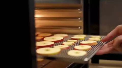 AI Video from prompt: Video of how apples are dried
