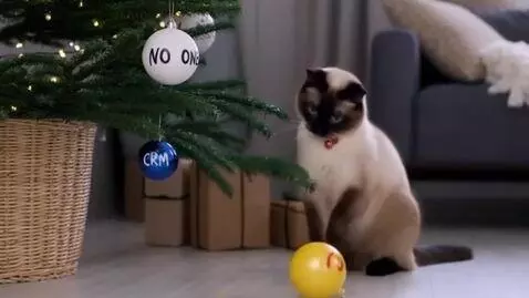 AI Video from prompt: A cat sits in a room near a decorated Christmas 