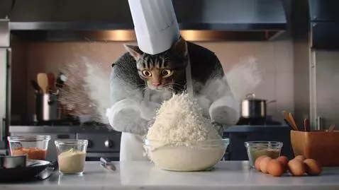 AI Video from prompt: 4K cinematic cooking-show style video. Anthropom