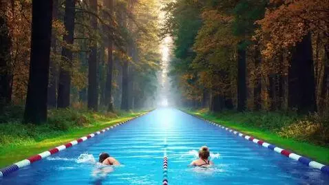 AI Video from prompt: In the forest, the asphalt road turned into a sw