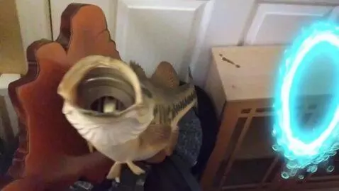 AI Video from prompt: Create a scene using the fish as the focal point