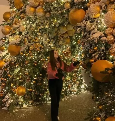 AI Video from prompt: The girl approaches the New Year's ball on the r