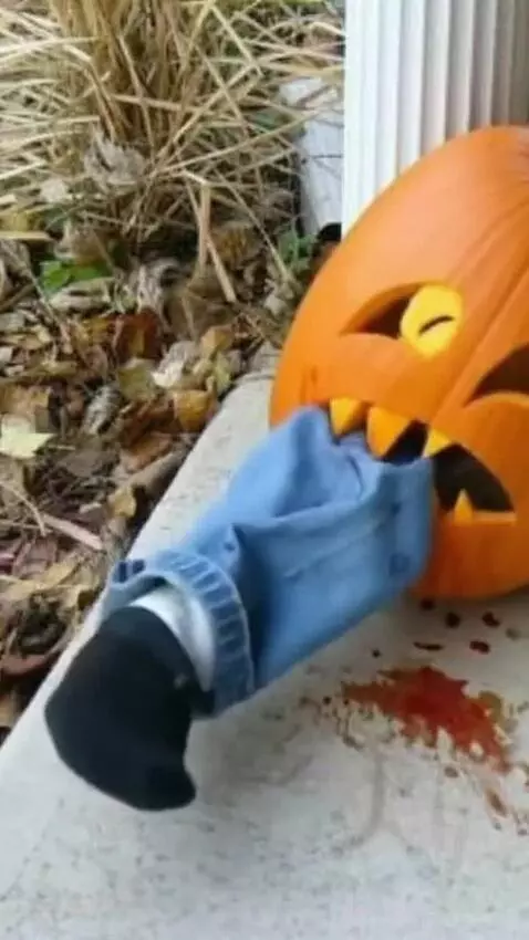 AI Video from prompt: he finishes eating his trouser leg