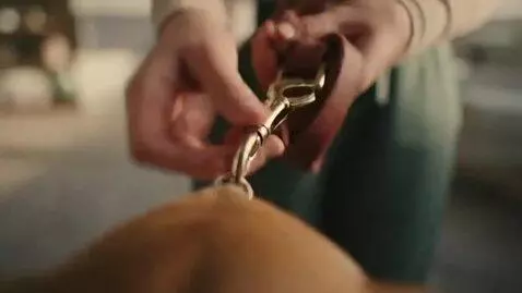 AI Video from prompt: Scene 1 — Awakening as Her Pet (Close-Up, Cinema