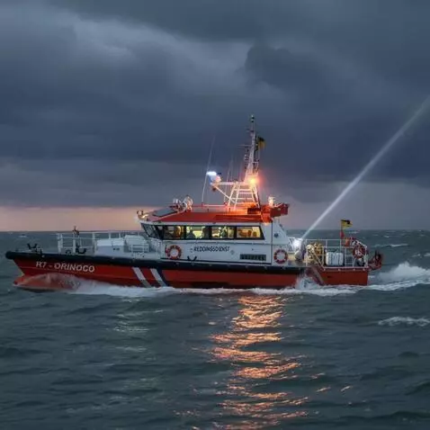 AI Video from prompt: Simplified 10-Second Rescue Prompt Base Image: Y