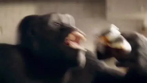 AI Video from prompt: Create a video in a realistic style, first showi