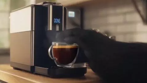 AI Video from prompt: Create a 15 second video in a realistic style, f