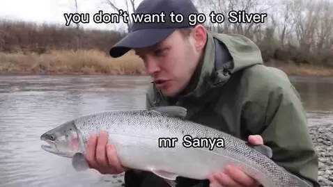 AI Video from prompt: Create a short meme-style video based on the cla