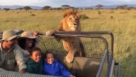 AI Video from prompt: A family is on a safari in Africa, in an open je