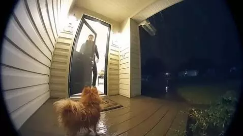 AI Video from prompt: F Generate a video about how a dog of the Pamera