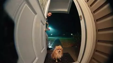 AI Video from prompt: Generate a video about how a dog of the Pamerani