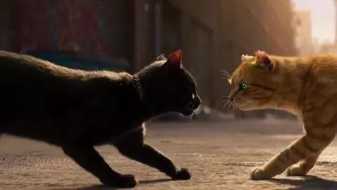 AI Video from prompt: The battle cats