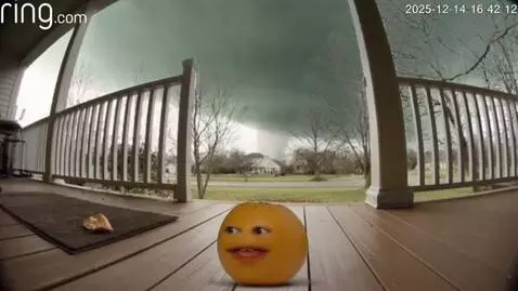 AI Video from prompt: @ringcamera orange with face gets tornado