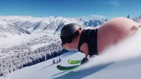 AI Video from prompt: A cinematic, hyper-realistic mini-pig freeride C