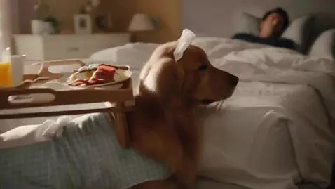AI Video from prompt: Create a dog making breakfast for his owner whil
