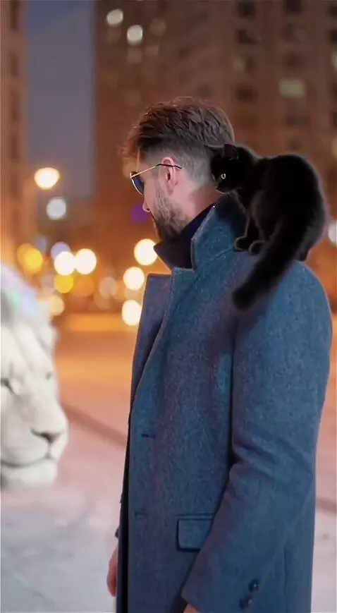 AI Video from prompt: A slowly black very fluffy kitten jumps on his s